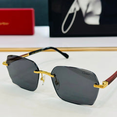 SIGNATURE C DE RECTANGULAR FRAME SUNGLASSES CT0483S IN METAL AND WOODEN