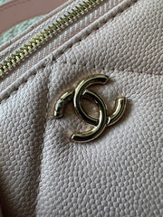 CHANEL 25S VANITY BAG 17 IN LIGHT PINK CAVIAR LEATHER WITH GOLD HARDWARE