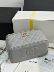 VANITY CASE 17 CRYSTAL STUDDED LOGO IN GREY CALFSKIN GOLD HARDWARE