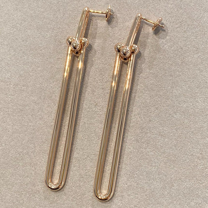 HARDWEAR DOUBLE LONG LINK EARRINGS