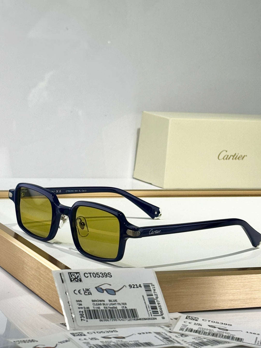 PREMIÈRE SQUARE FRAME SUNGLASSES CT0539S IN ACETATE