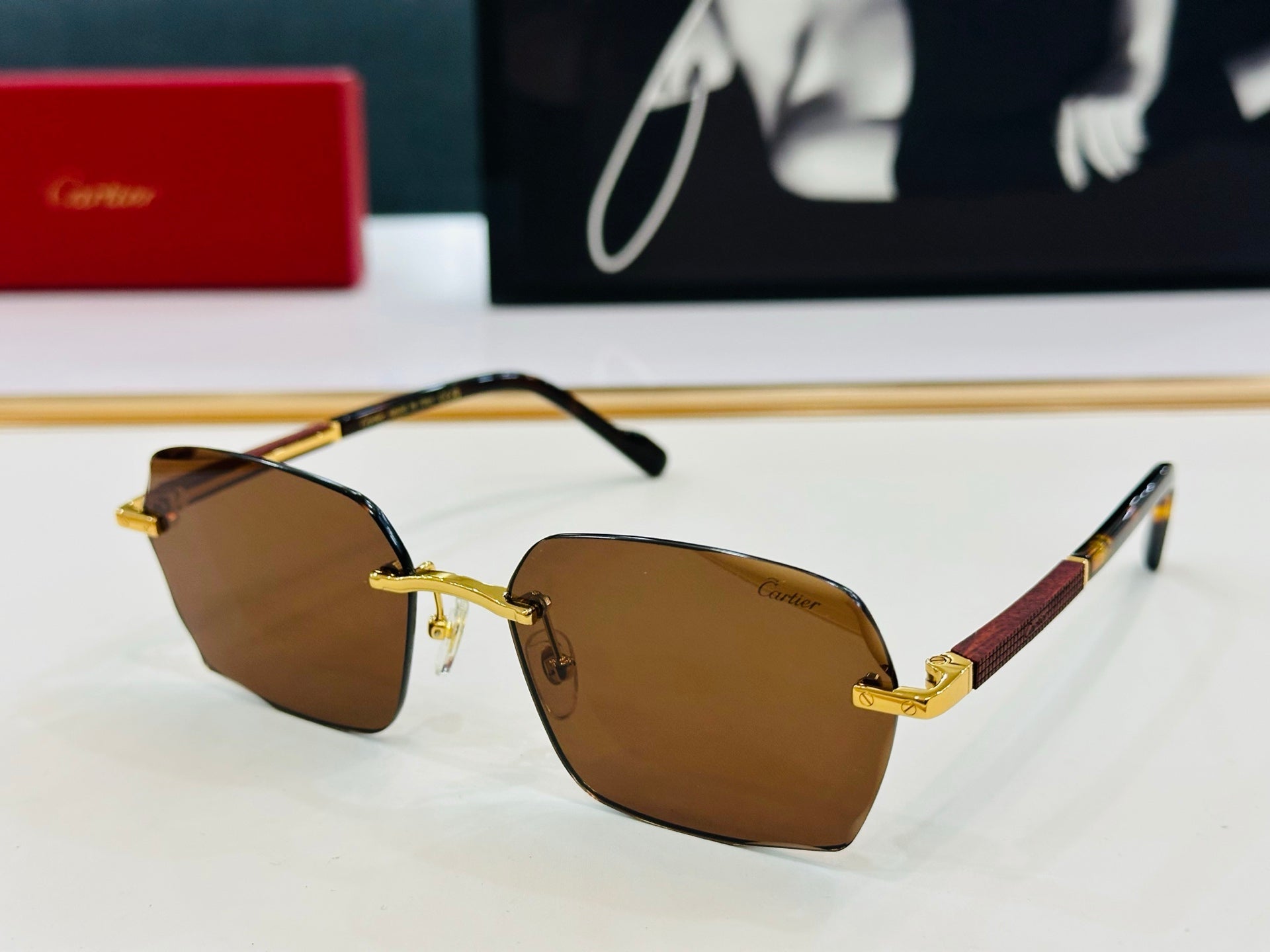 SIGNATURE C DE RECTANGULAR FRAME SUNGLASSES CT0483S IN METAL AND WOODEN
