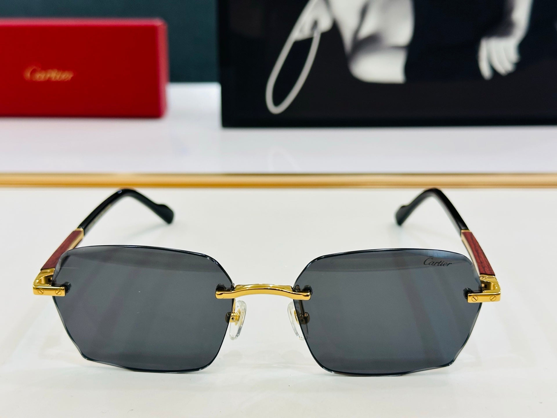 SIGNATURE C DE RECTANGULAR FRAME SUNGLASSES CT0483S IN METAL AND WOODEN