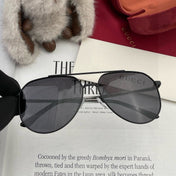 AVIATOR FRAME SUNGLASSES 5980 IN METAL