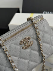 VANITY CASE 17 CRYSTAL STUDDED LOGO IN GREY CALFSKIN GOLD HARDWARE